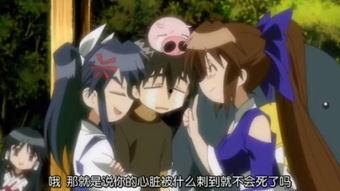 蓝兰岛在线视频,揭秘神秘岛屿的奇幻之旅