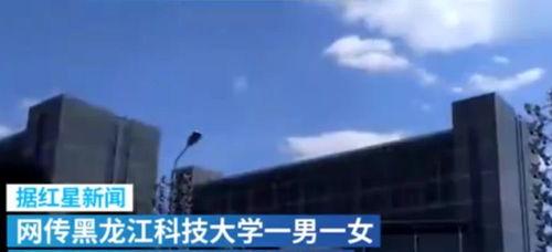 在线视频 黑龙江科技,探索创新与发展的前沿阵地