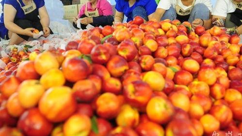 天堂VA在线视频播放,沉浸式在线视频体验，带你领略虚拟世界的无限魅力